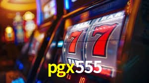 Sistemas de Segurança pgx555